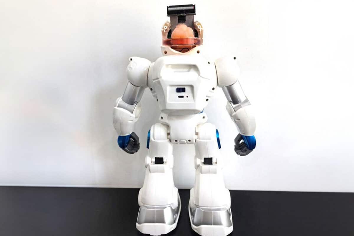 tianjin university robot